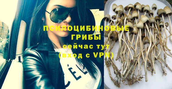 мдпв Новодвинск