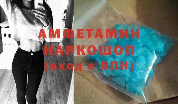 ПСИЛОЦИБИНОВЫЕ ГРИБЫ Новозыбков