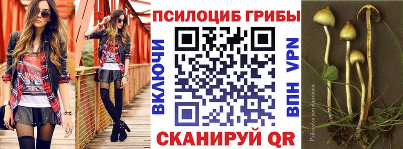 Псилоцибиновые грибы Psilocybe  как найти   Новый Уренгой 